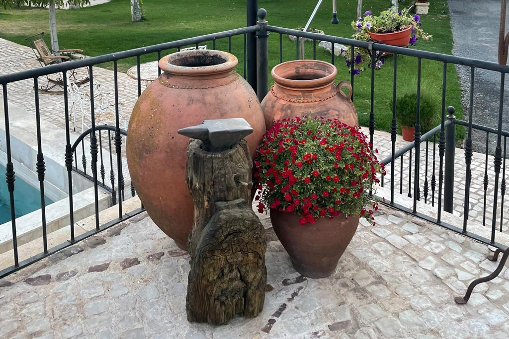 Finca Palacio Arudecas